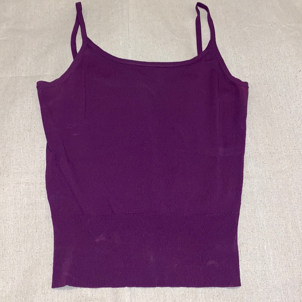 Ann Taylor Purple Knit Tank